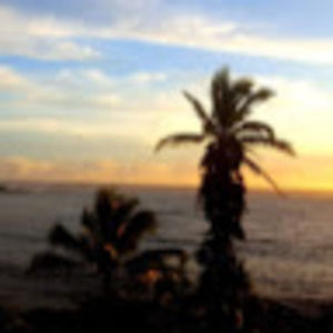 Meet your Posher, Kurtis